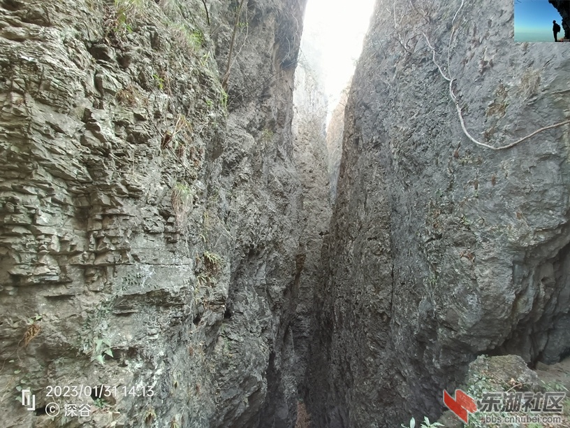 IMG20230131141337.jpg