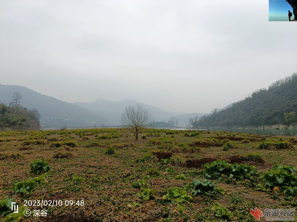 IMG20230210094848.jpg