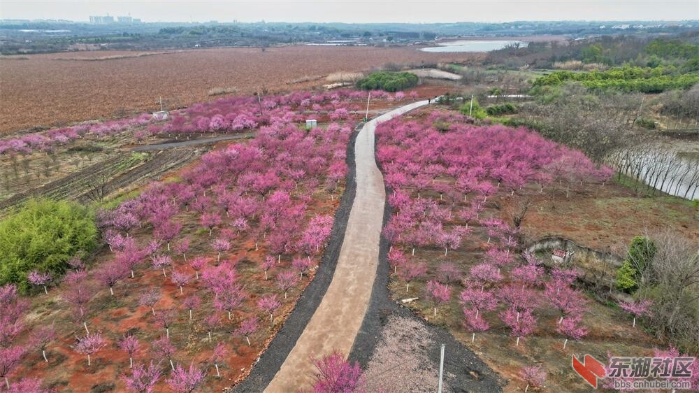 DJI_0880.JPG