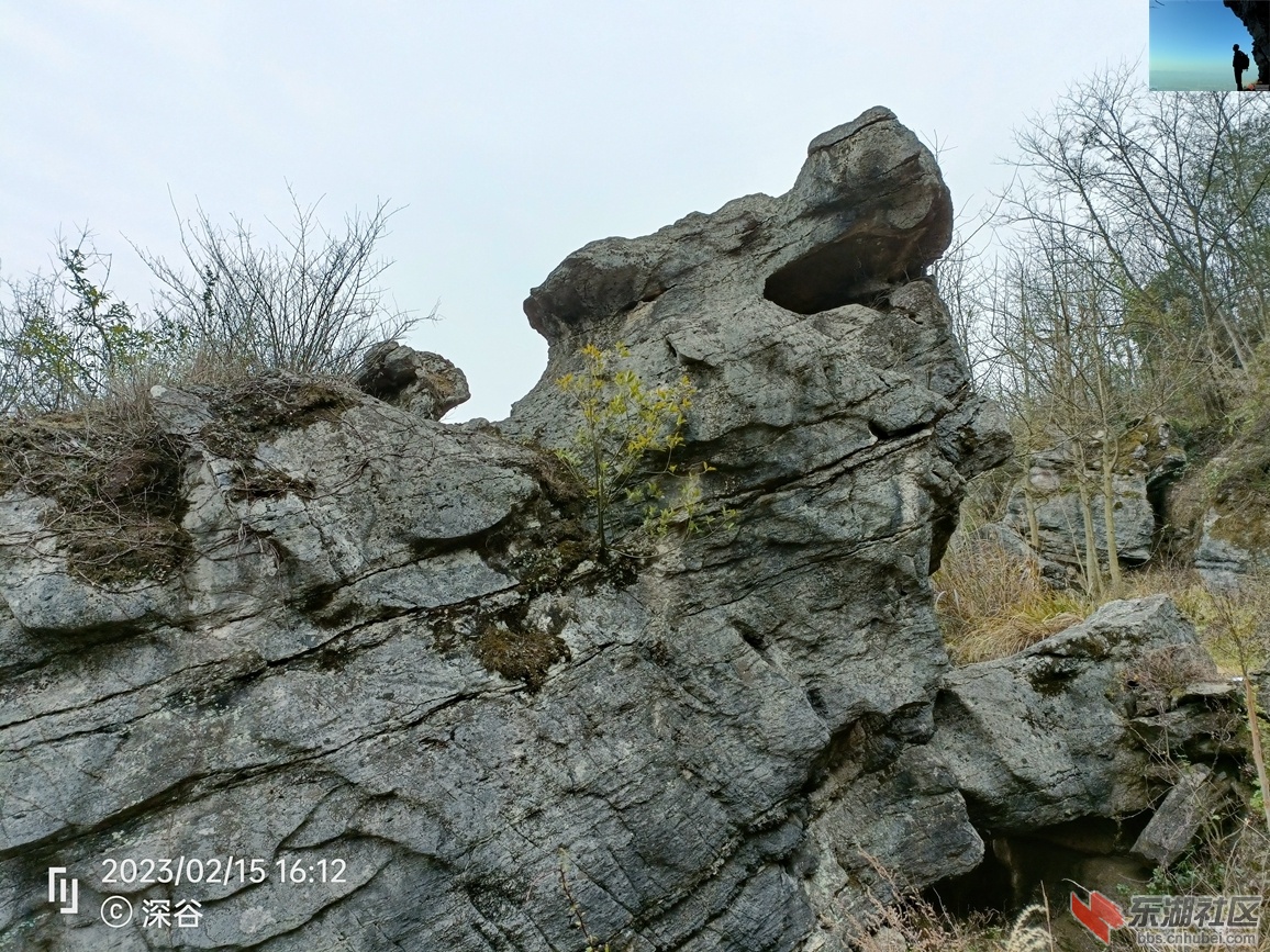 IMG20230215161256.jpg