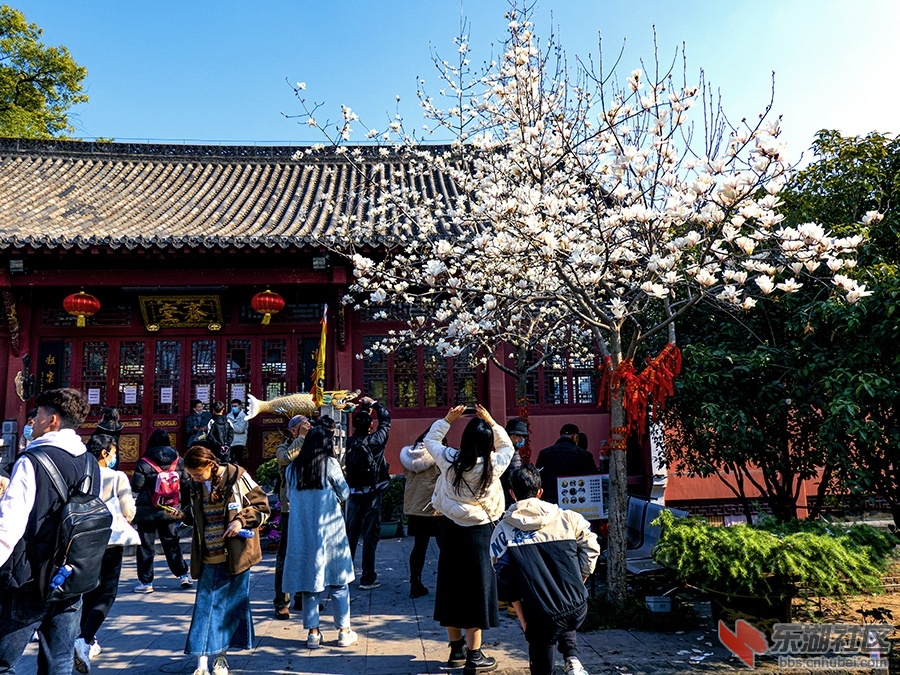 3    DSC02729 拷贝.jpg