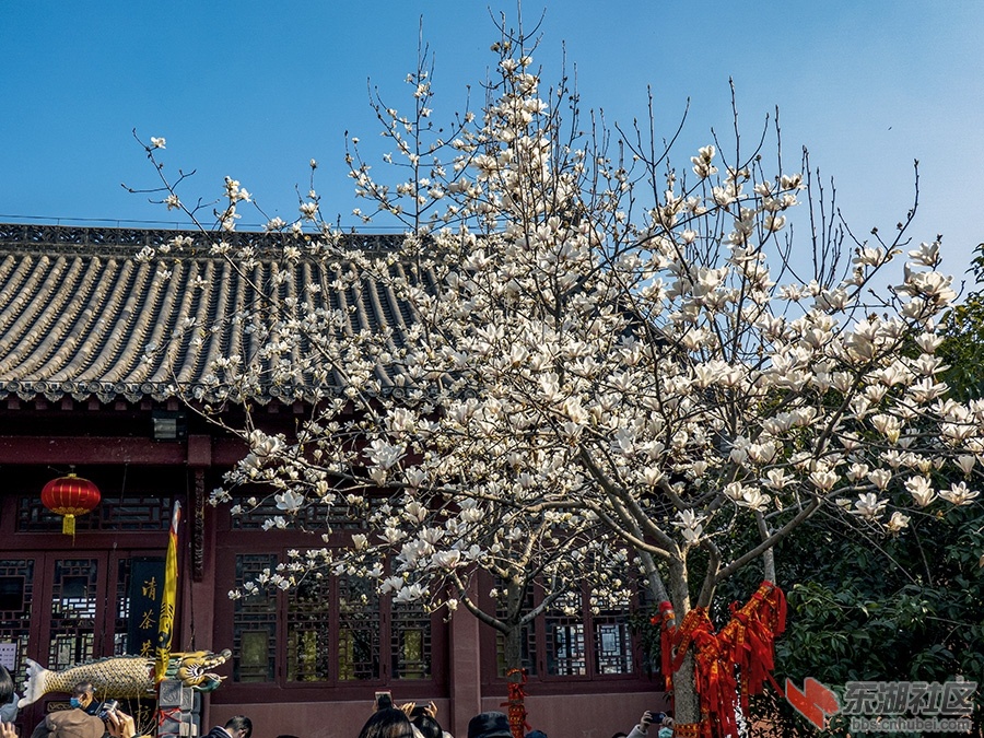 9     DSC02726 拷贝.jpg