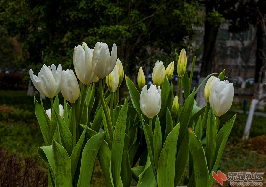 10    DSC02718 拷贝 2.jpg