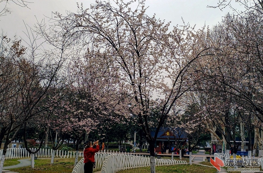 900   2040    IMG_20230228_164515_副本 拷贝_副本.jpg