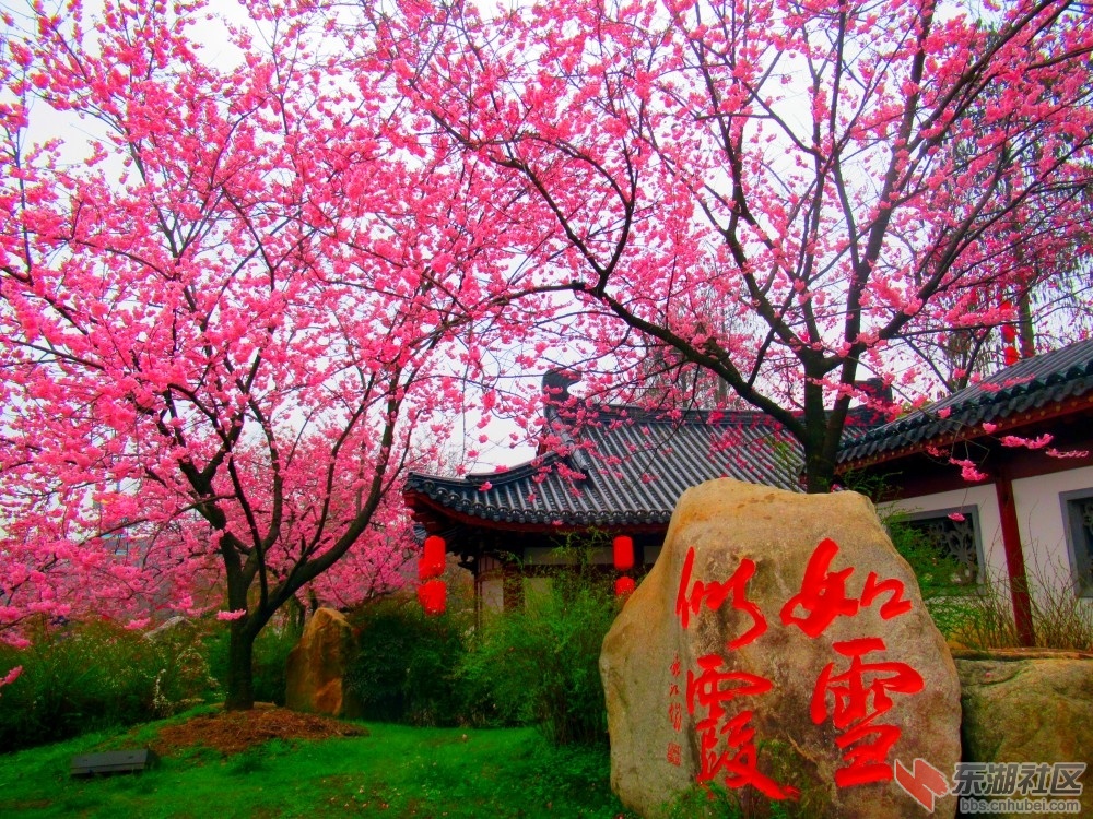 001_副本.jpg