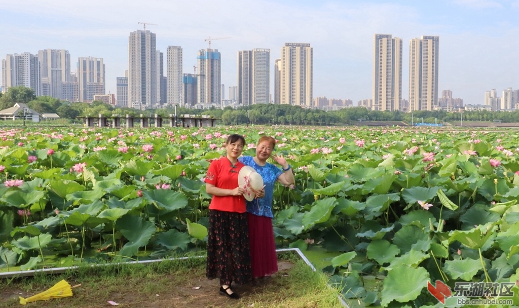 IMG_0986_副本.jpg