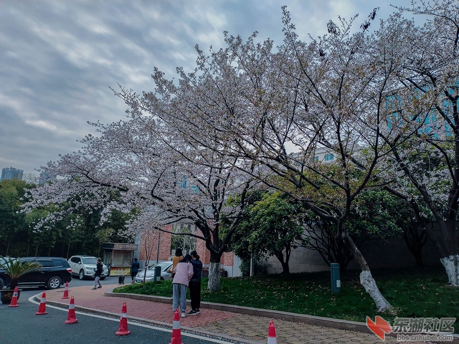 900   IMG_20230325_162144_副本 拷贝_副本.jpg
