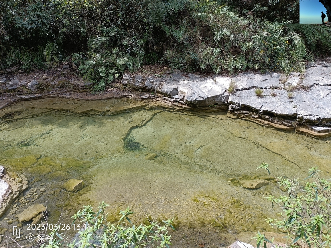 IMG20230326131112.jpg