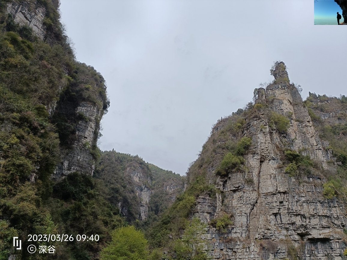 IMG20230326094006.jpg