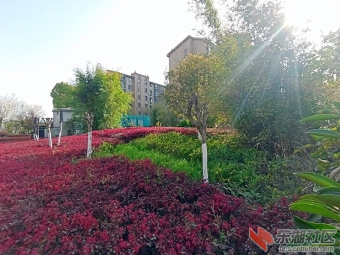 1-小区发电房春景327163049.jpg