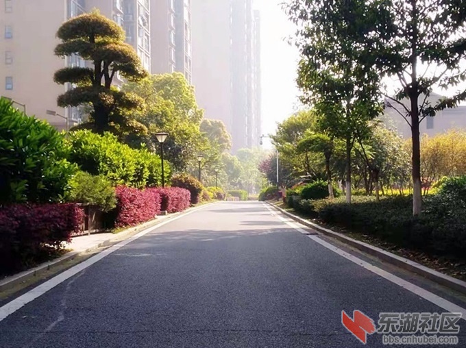 4一、二期道路一角_副本.jpg