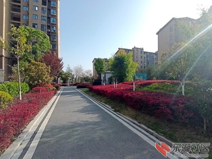 7-小区发电房春景327163006.jpg