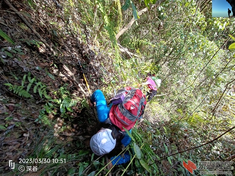 IMG20230330105126.jpg