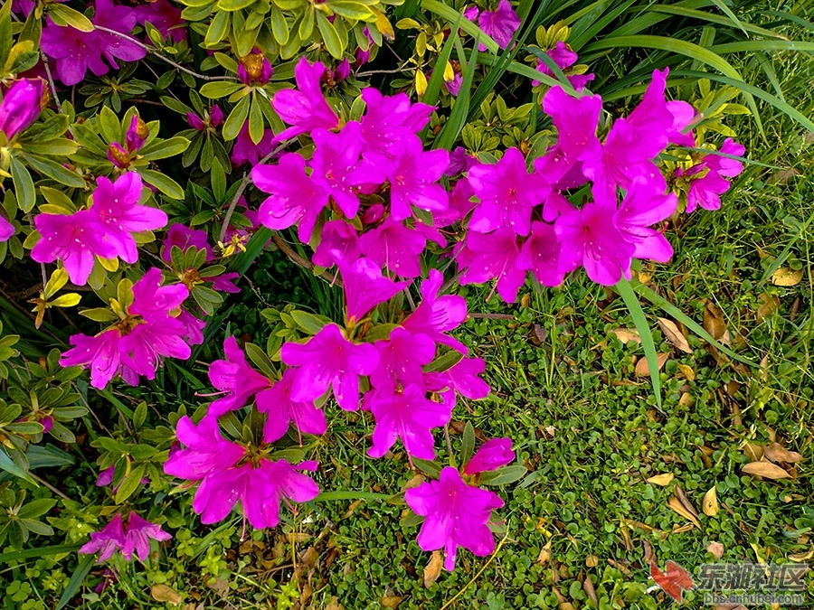 7    IMG_20230414_145150_副本 拷贝.jpg