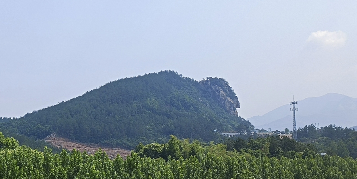 IMG_20230519_094713_1.jpg