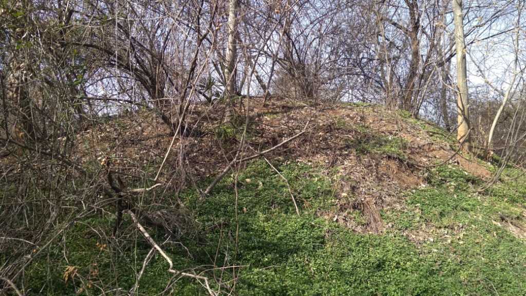 IMG_20230124_115055.jpg