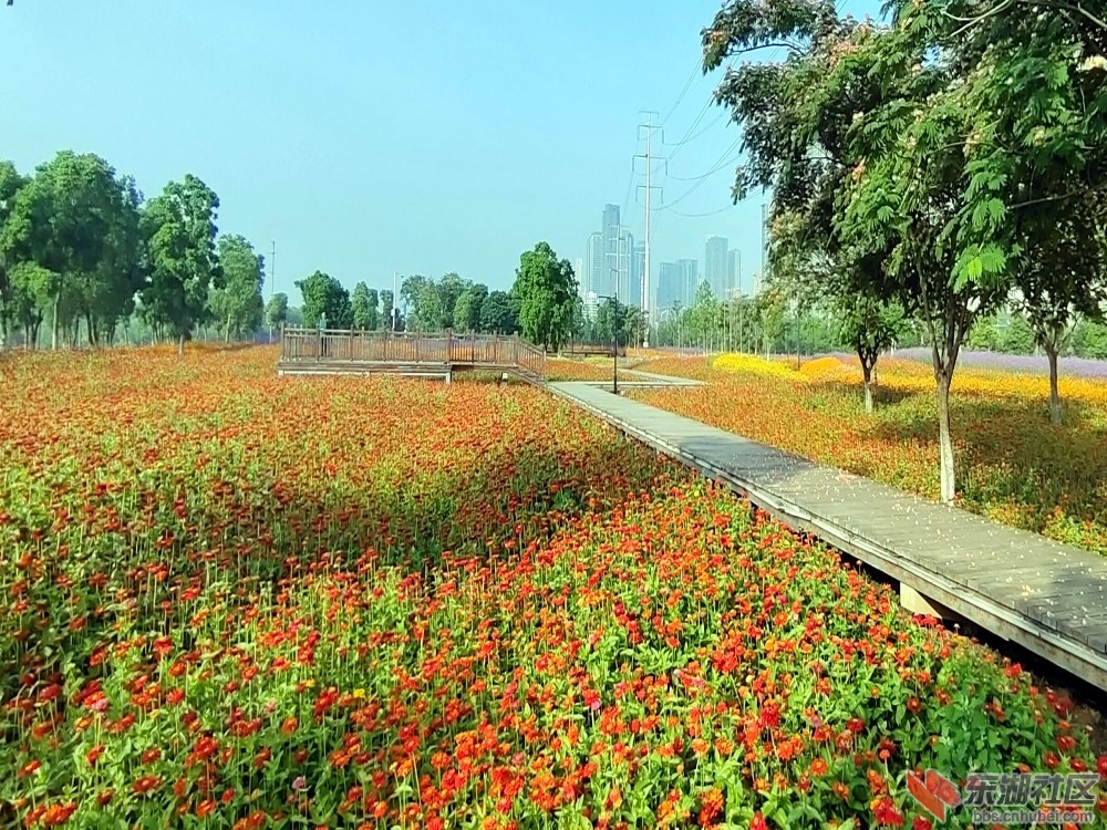 IMG_20230525_072712_副本.jpg