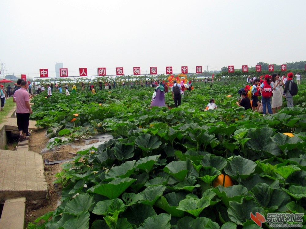 069a_副本.jpg