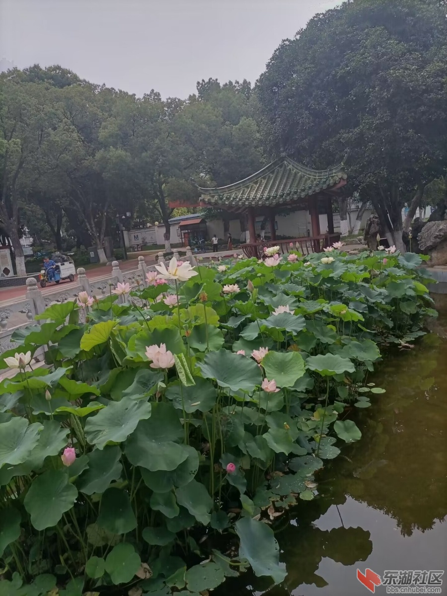 qq图片20230616190338.jpg