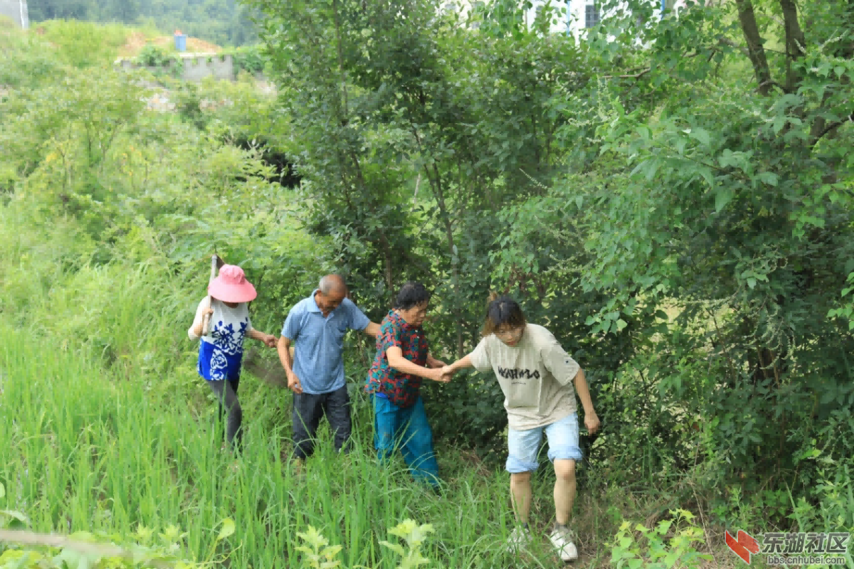 田畔扬青春　救助暖民心3.png