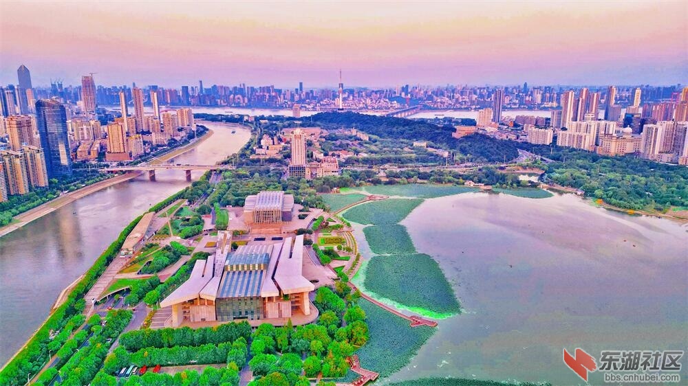 dji_fly_20230810_042004_700_1691666711183_photo.jpg