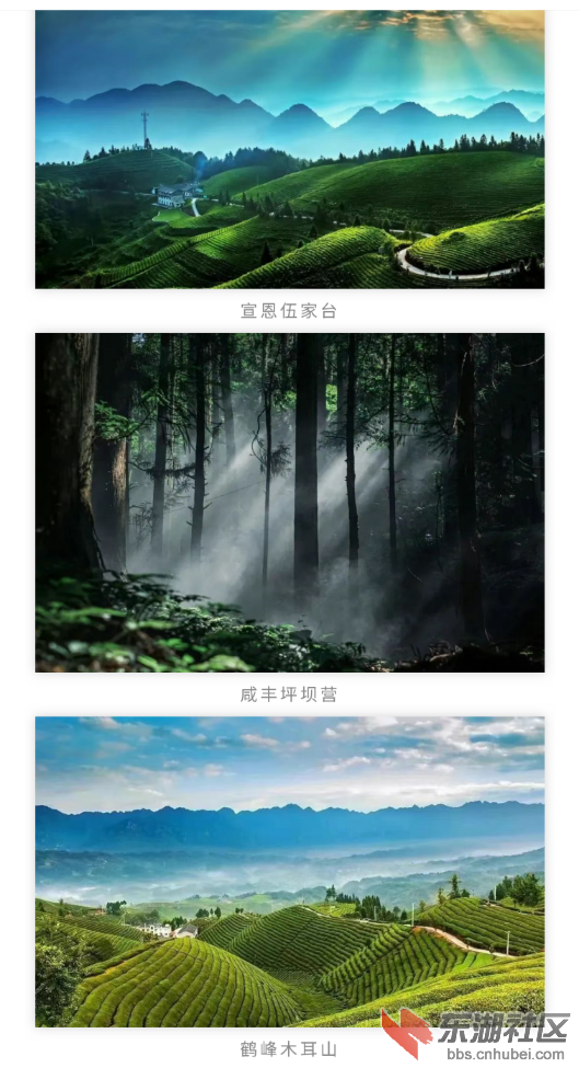 S30816-11131762(1).png