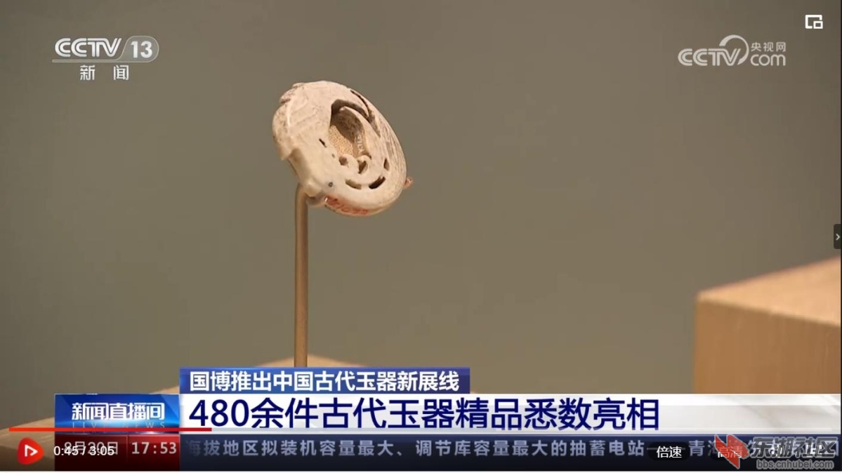 中华第一凤亮相国博.jpg