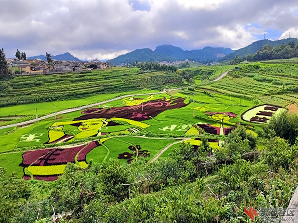 IMG_20230728_182252_副本.jpg