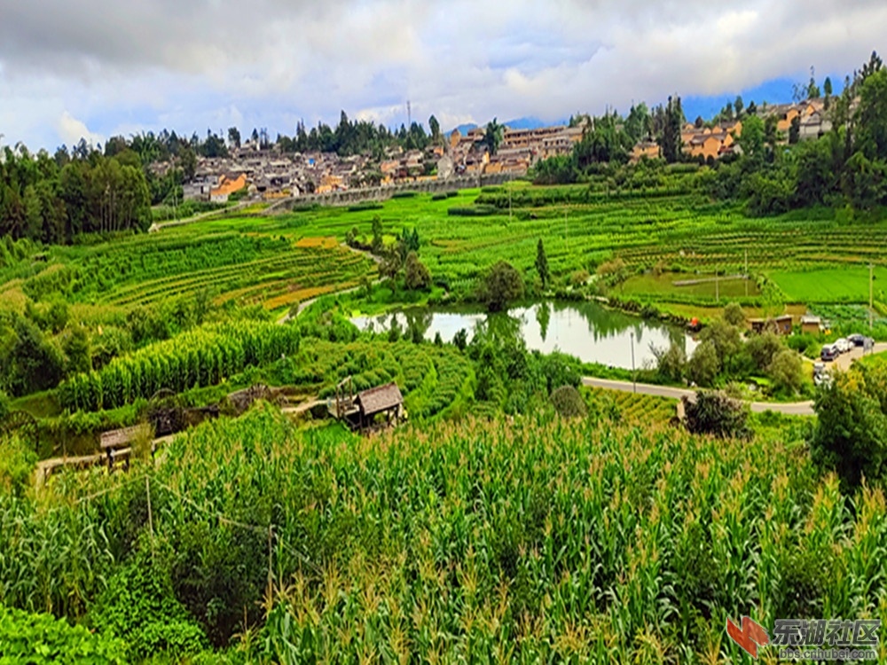 IMG_20230728_182539_副本.jpg