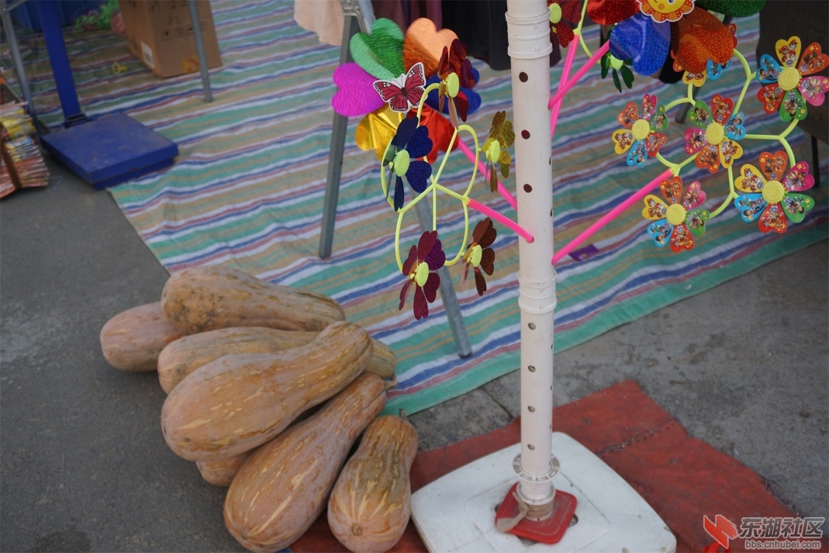 DSC00599.JPG