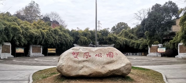 psc (10).jpg