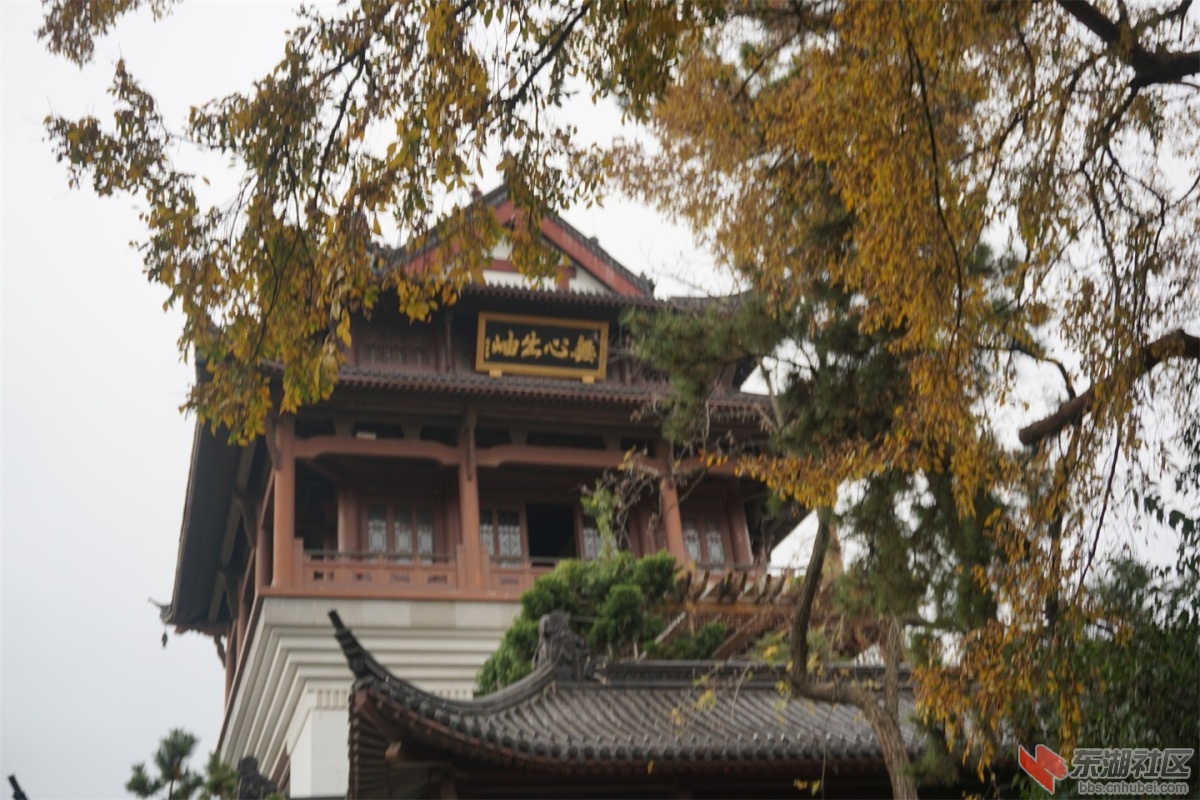 DSC08174.JPG