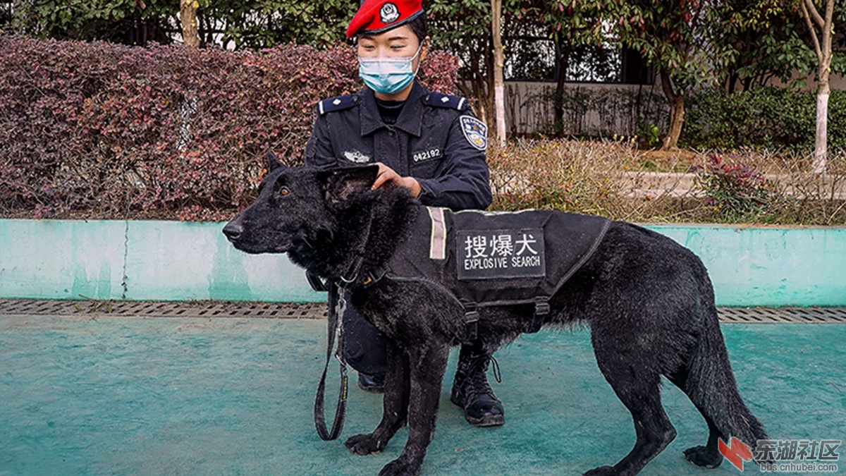 9    微信图片_20210110200039_副本_副本 拷贝.jpg