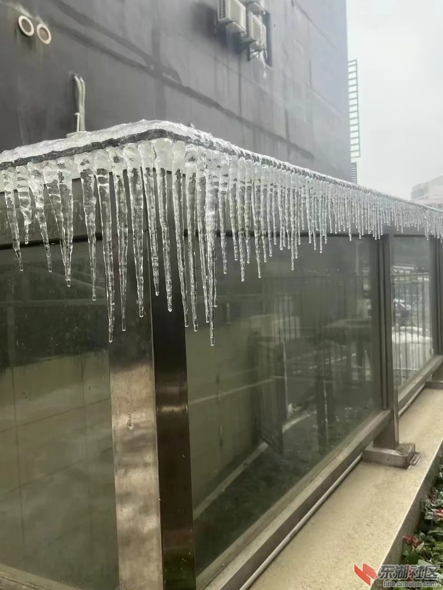 微信图片_202402041040361.jpg