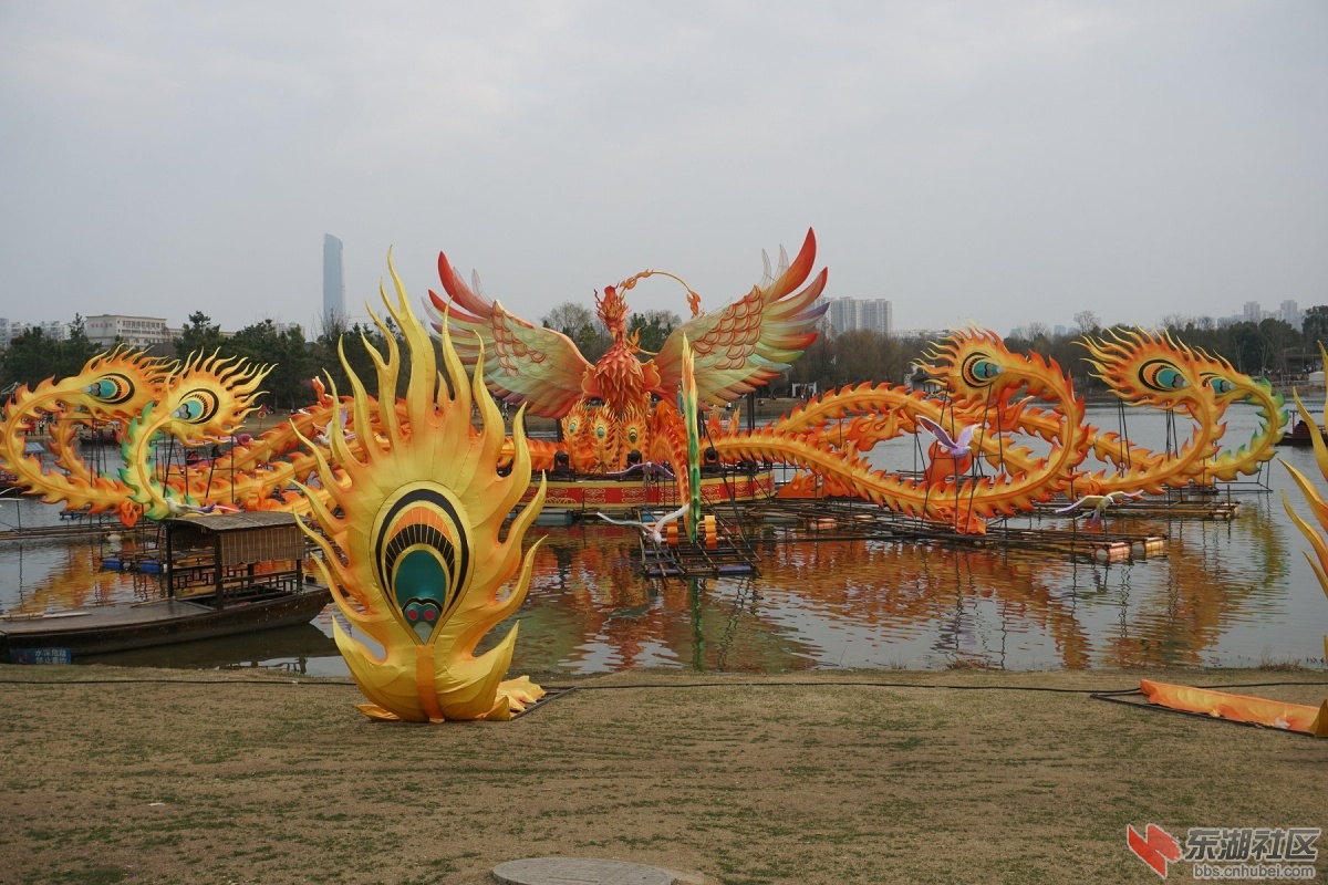 DSC05329.JPG