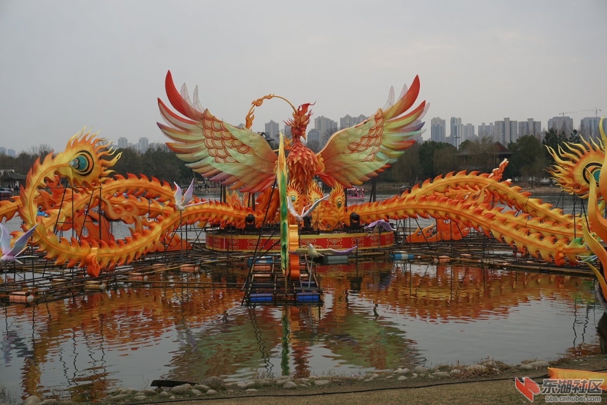 DSC05356.JPG