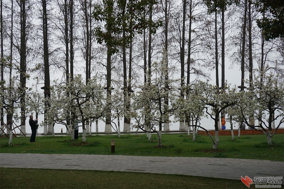 DSC05820.JPG