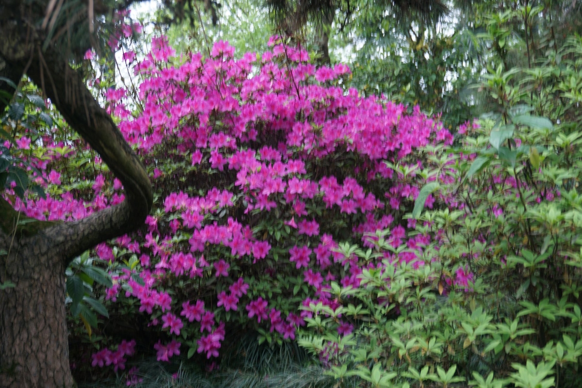 DSC07022.JPG