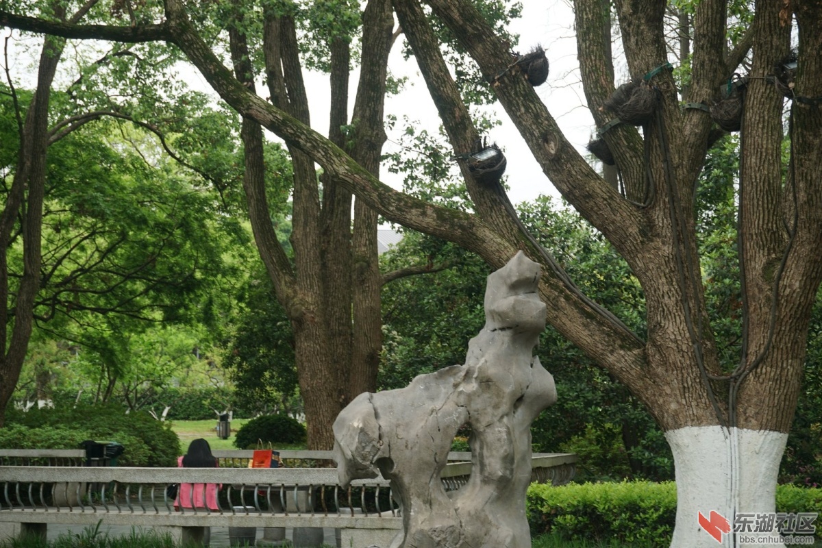DSC08578.JPG