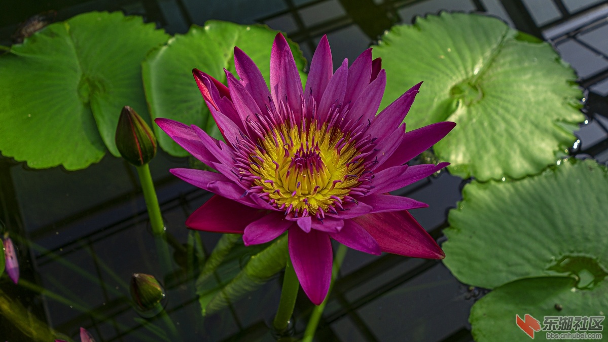 DSC08552 拷贝.jpg
