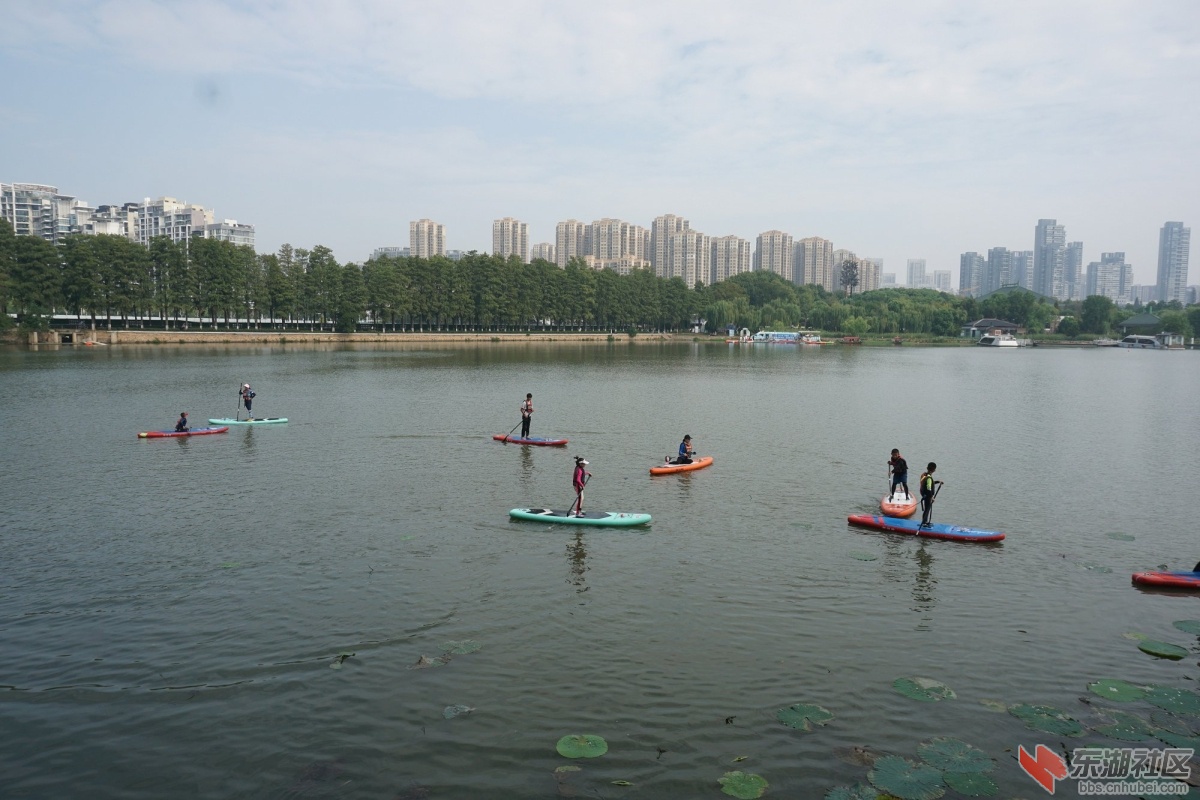 DSC09770.JPG
