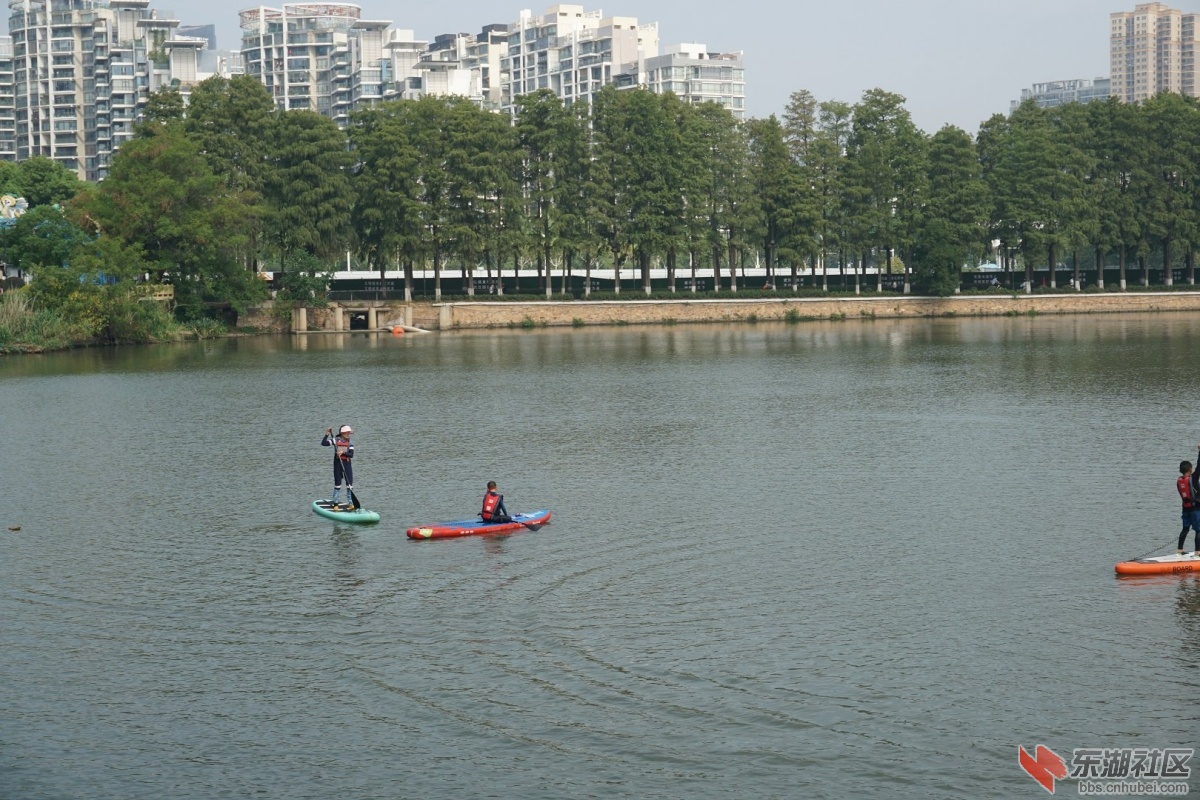 DSC09781.JPG