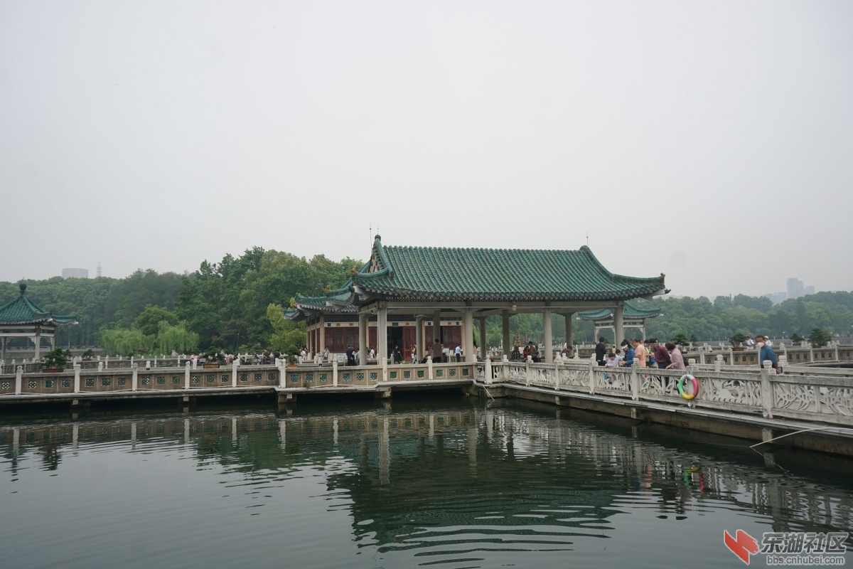 DSC01042.JPG