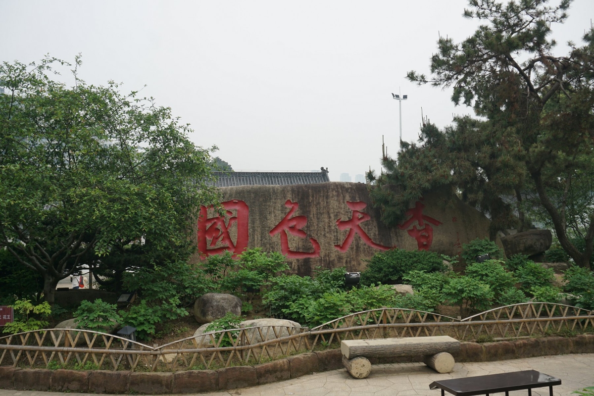 DSC00727.JPG