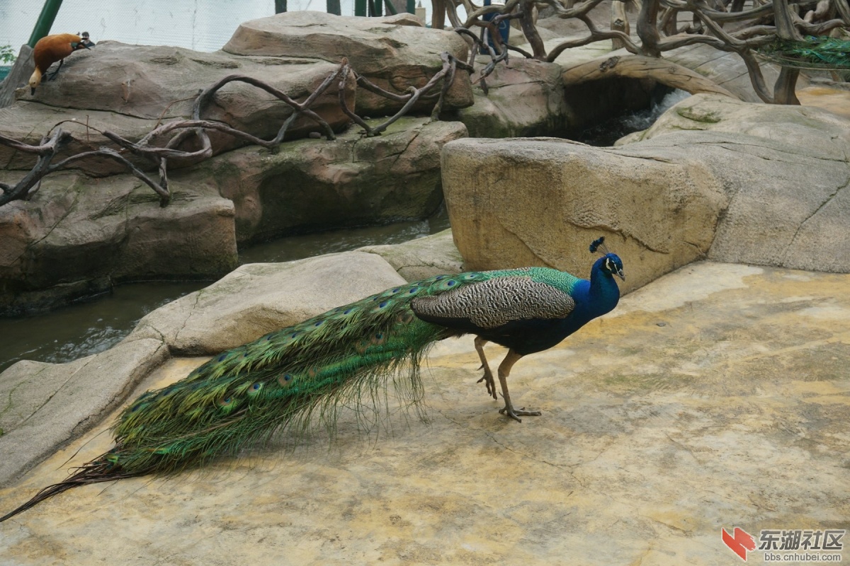 DSC00873.JPG