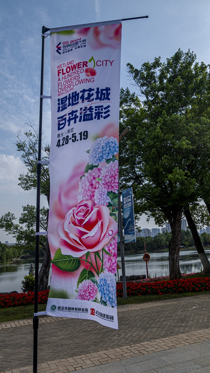 6   DSC08640 拷贝.jpg