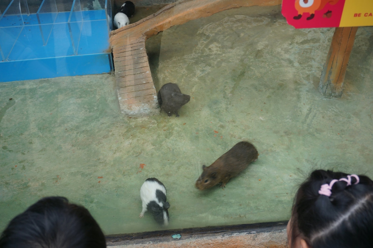 DSC00809.JPG