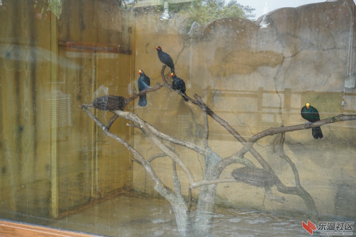 DSC00916.JPG