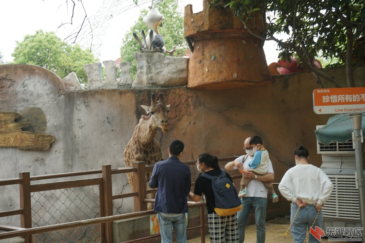 DSC00913.JPG