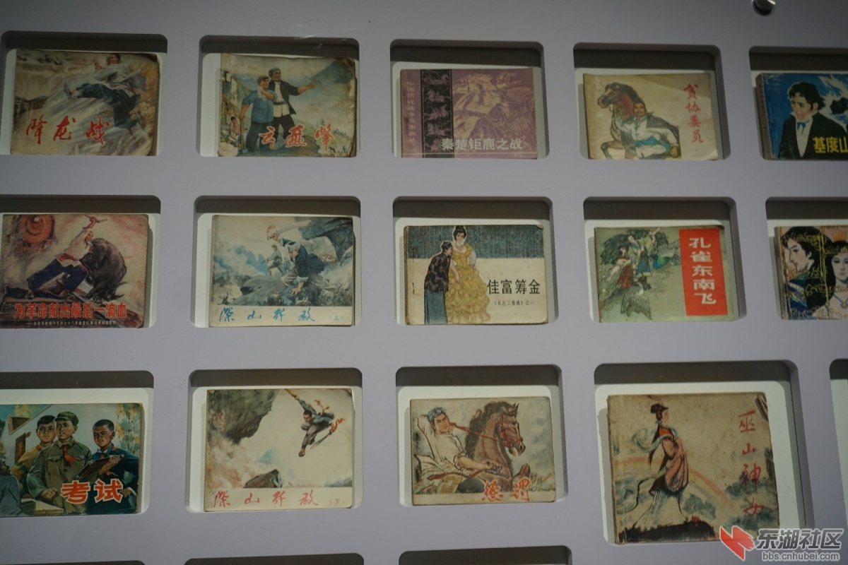 DSC08110.JPG